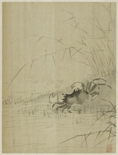 Album, 1661.
