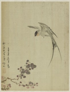 Album, 1661.