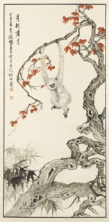 White monkey, 1937.