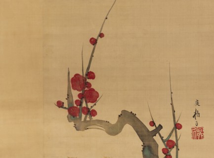 Plum blossom, c.1801.