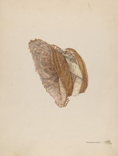 Straw Bonnet, c. 1939.