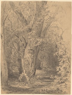 Tree and Foliage, probably c. 1873.