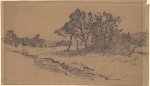 Trees in a Field, late 19th century.