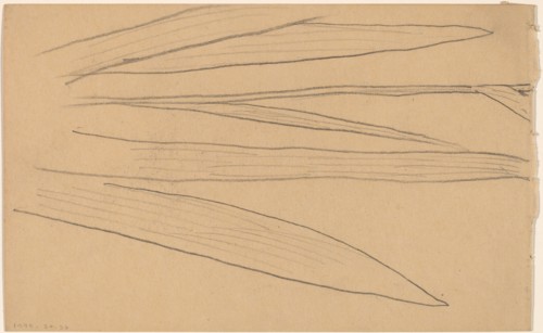 Study of a Flower [verso], 1890/1897.