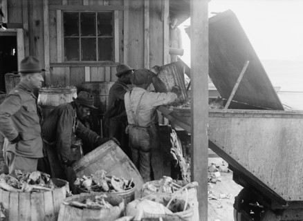 Camp Meade, Maryland - Misc, Views, 1917.