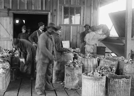 Camp Meade, Maryland - Misc, Views, 1917.
