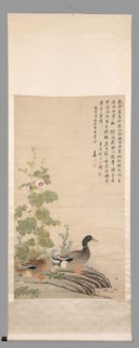 Ducks and hollyhocks, between 1912 and 1949.