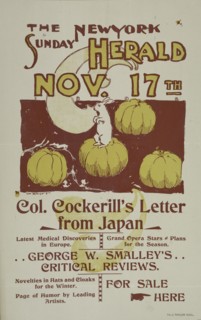 The New York Sunday herald. Nov. 17th., c1895.
