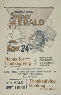 The New York Sunday herald. Nov. 28th., c1895.