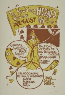 The New York Sunday herald. August 18th '95., c1895.
