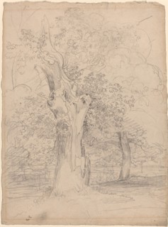 An Ancient Tree with Figures in a Landscape, c. 1835.