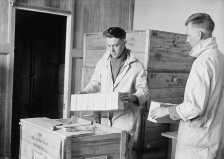 Army, U.S. Army Medical School; Typhoid Vaccine, 1917.