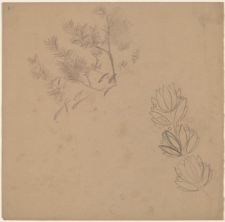 Study for a Border Design with a Sketch of a Tree, 1890/1897.