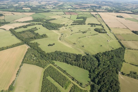 Lodge Park, deer course and hunting park, Gloucestershire, 2016.