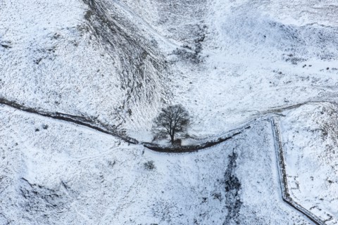 Sycamore Gap Tree on Hadrian's Wall in the snow, Northumberland, 2018.