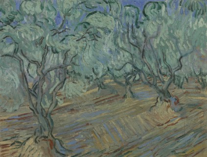Olive grove, 1889. Found in the collection of the Van Gogh Museum, Amsterdam.