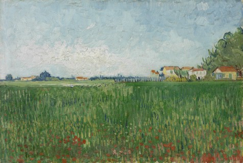 Field with Poppies, 1888. Found in the collection of the Van Gogh Museum, Amsterdam.