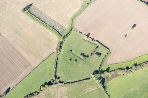 Site of St Andrews College and moat earthwork, Acaster Marshes, North Yorkshire, 2018.