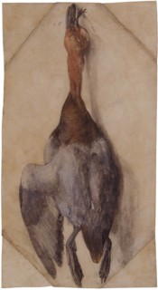 Dead Duck, ca 1502 (or ca 1512). Found in the collection of the Museu Calouste Gulbenkian, Lisbon.