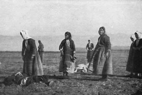 'Les premieres victimes des aeroplanes allemands, le 30 decembre : deux moutons..., 1915. Creator: Unknown.