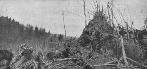 'Les derniers combats de l'Hartmannswillerkopf; le rocher d'Hirzenstein, sur le versant..., 1916. Creator: Unknown.