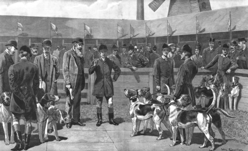 ''Peterborough Foxhound Show - Before the Judges, 1890. Creator: John Charlton.