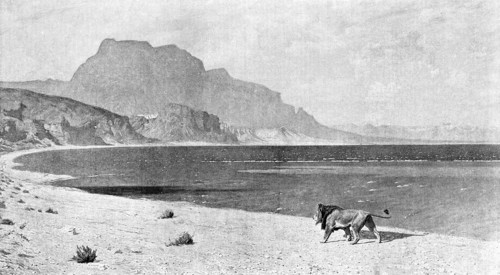 A Lion in Search of its Prey, after JL Gerome', 1890. Creator: Unknown.