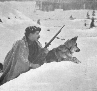 'Skieurs et chiens de guerre dans les neiges vosgiennes; Un chien esquimau en sentinelle..., 1916. Creator: Unknown.