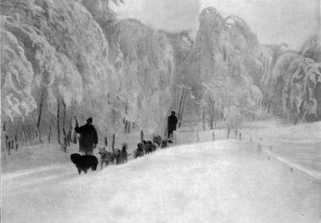 'Skieurs et chiens de guerre dans les neiges vosgiennes; Equipage de chiens de transport..., 1916. Creator: Unknown.