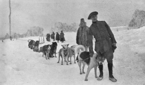 'Skieurs et chiens de guerre dans les neiges vosgiennes; Le lieutenant Haas, consul de..., 1916. Creator: Unknown.