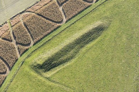 Giant's Grave Long Barrow on Fyfield Down, Wiltshire, 2017.