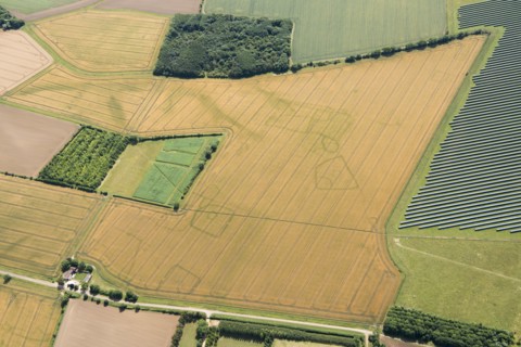 Cropmarks of an Iron Age and/or Roman settlement, Bedford, 2017.
