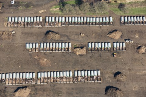 A piggery, West Sussex, 2018.