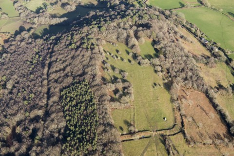 Lambert's Castle, an Iron Age hillfort with a bowl barrow, Dorset, 2019. Creator: Damian Grady.