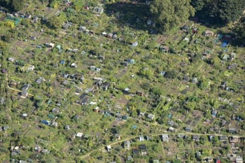 Allotments at Fulham Palace, Greater London Authority, 2021.