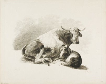 Animal Piece, n.d.