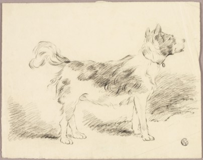 Shepherd Dog, n.d. After George Morland.