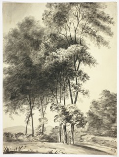 Trees with Mountains in Distance, n.d.