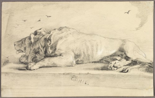 Reclining Lion, 1816. Attributed to Edwin Henry Landseer.