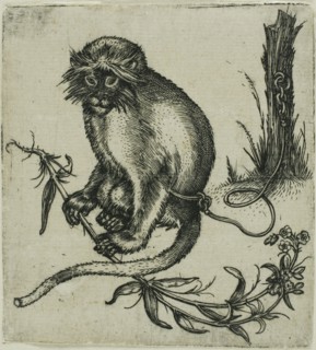 A Chained Monkey, 1559/1596.