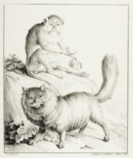 Cat and Monkey, 1814/16.