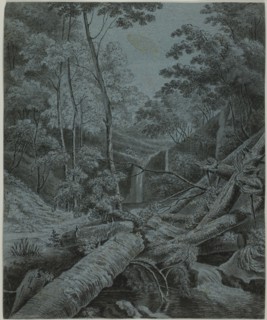 Waterfall and Fallen Logs in Forest, n.d.