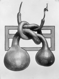 Chinese Gourds, 1913.