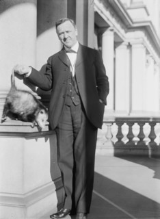 Daniels, Josephus, Secretary of The Navy, 1913-1921. with An Opossum, 1913.