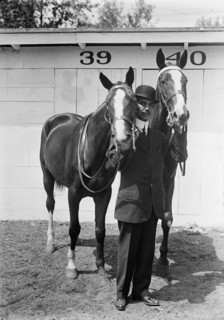Hazen, Melvin C., Horse Show; His Horses, 1914.
