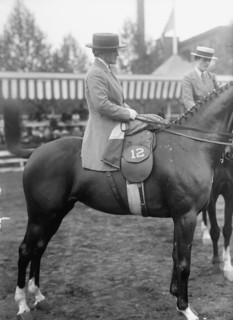 Horse Shows - Mrs. Aileen Potts, 1917.