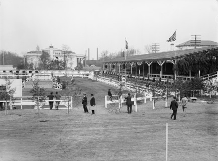 Horse Shows, General View, 1914.