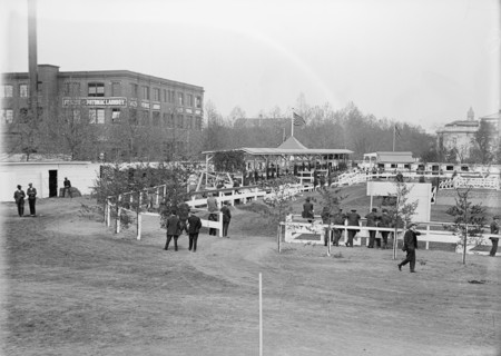 Horse Shows, General View, 1914.