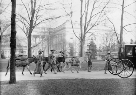 Los Angeles Hikers Who Brought White Plague Cure To President Wilson, at White House, 1914.