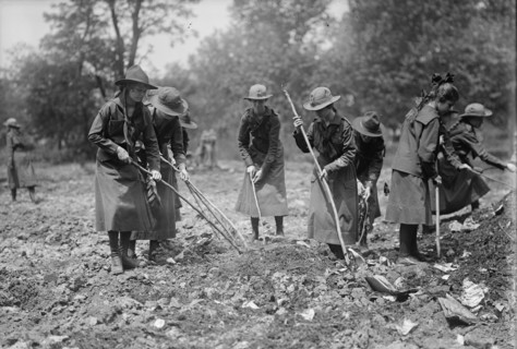 National Emergency War Gardens Com. - Girl Scouts Gardening at D.A.R., 1917.